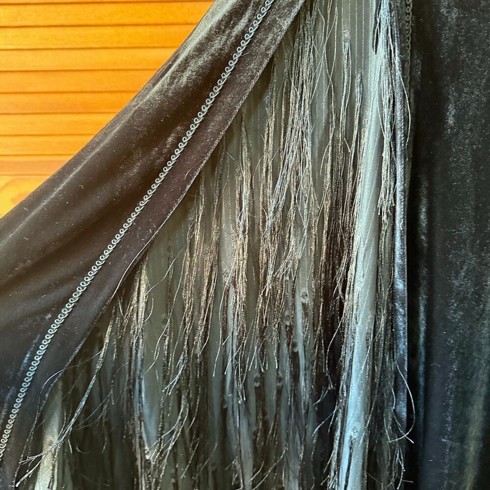 Devil Fashion Gothic Victorian Vampire Vkei Black Velvet "Ricchi" Dress - Picture 7 of 12